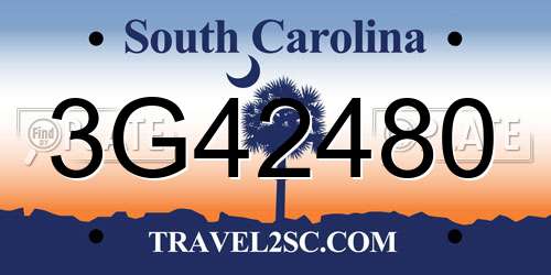 3G42480 South Carolina License Plate