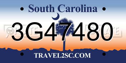 3G47480 South Carolina License Plate