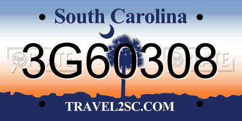 3G60308 South Carolina License Plate