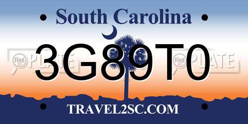 3G89T0 South Carolina License Plate