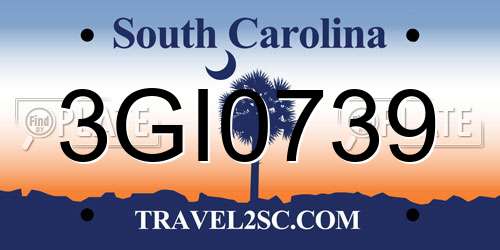 3GI0739 South Carolina License Plate
