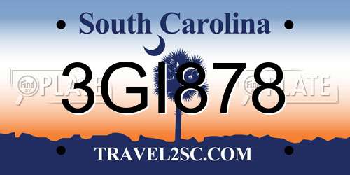 3GI878 South Carolina License Plate