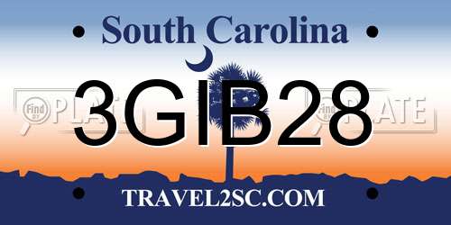 3GIB28 South Carolina License Plate
