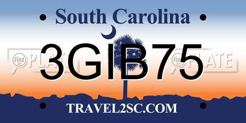 3GIB75 South Carolina License Plate