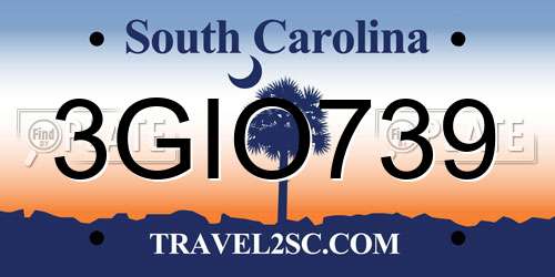 3GIO739 South Carolina License Plate