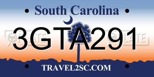 3GTA291 South Carolina License Plate