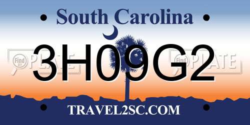 3H09G2 South Carolina License Plate