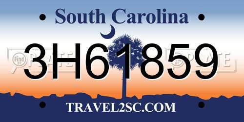 3H61859 South Carolina License Plate