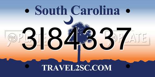 3I84337 South Carolina License Plate