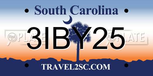 3IBY25 South Carolina License Plate