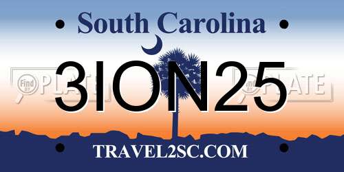 3ION25 South Carolina License Plate
