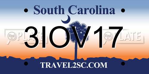 3IOV17 South Carolina License Plate