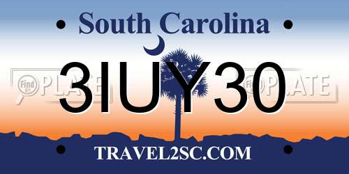 3IUY30 South Carolina License Plate