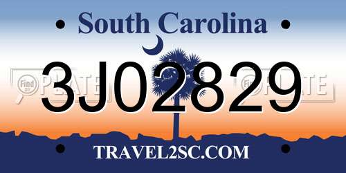 3J02829 South Carolina License Plate