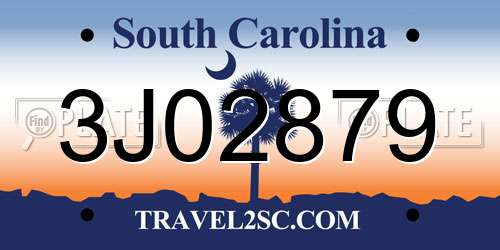 3J02879 South Carolina License Plate