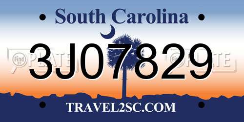 3J07829 South Carolina License Plate