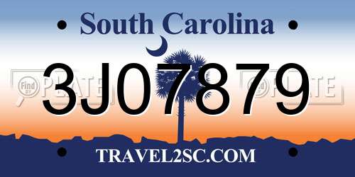 3J07879 South Carolina License Plate