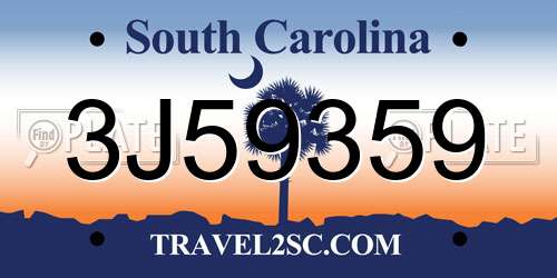 3J59359 South Carolina License Plate