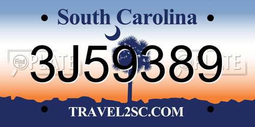 3J59389 South Carolina License Plate