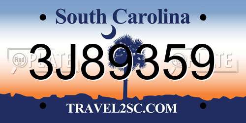 3J89359 South Carolina License Plate
