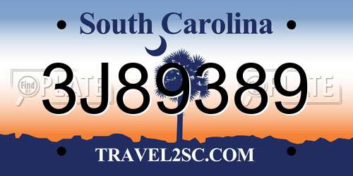 3J89389 South Carolina License Plate