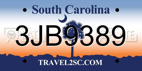 3JB9389 South Carolina License Plate