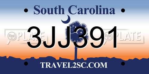 3JJ391 South Carolina License Plate