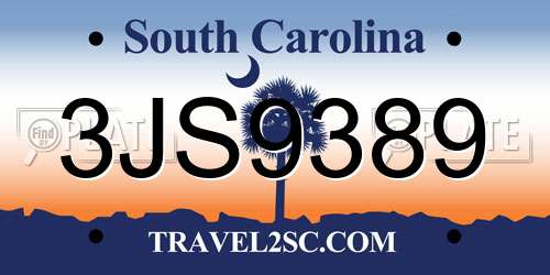 3JS9389 South Carolina License Plate