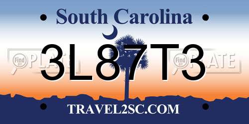 3L87T3 South Carolina License Plate