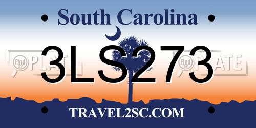 3LS273 South Carolina License Plate