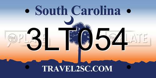 3LT054 South Carolina License Plate