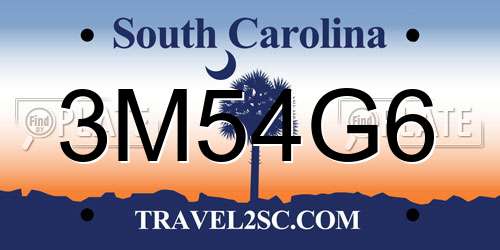 3M54G6 South Carolina License Plate