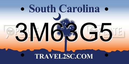 3M63G5 South Carolina License Plate