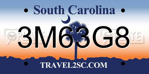 3M63G8 South Carolina License Plate