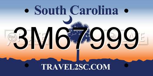 3M67999 South Carolina License Plate