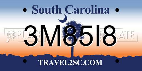 3M85I8 South Carolina License Plate