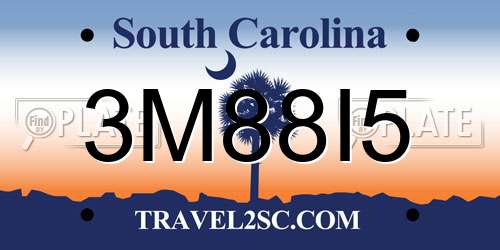3M88I5 South Carolina License Plate