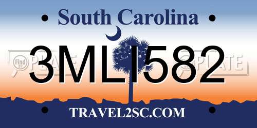 3MLI582 South Carolina License Plate