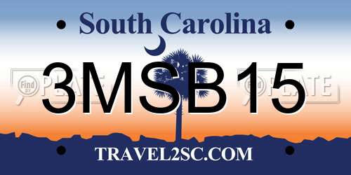 3MSB15 South Carolina License Plate