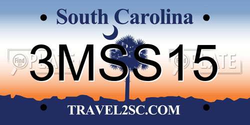 3MSS15 South Carolina License Plate