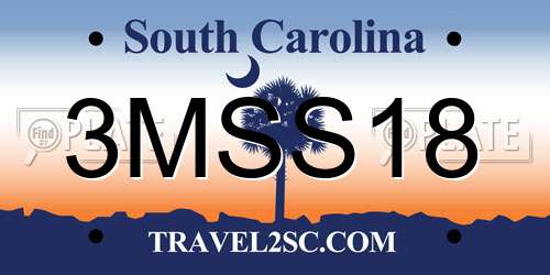 3MSS18 South Carolina License Plate