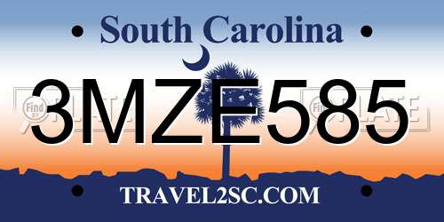 3MZE585 South Carolina License Plate