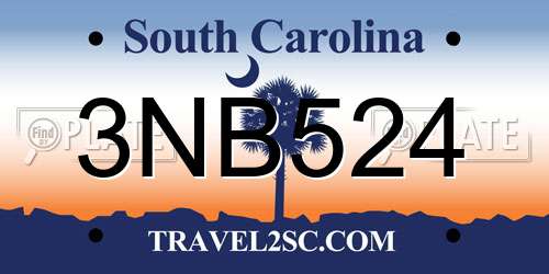 3NB524 South Carolina License Plate