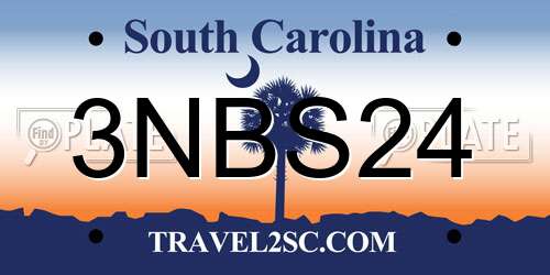 3NBS24 South Carolina License Plate