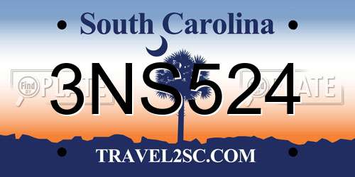 3NS524 South Carolina License Plate