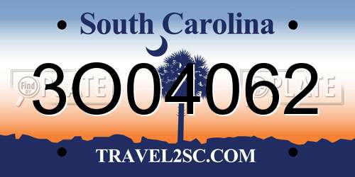 3O04062 South Carolina License Plate