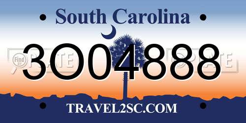 3O04888 South Carolina License Plate
