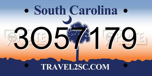 3O57179 South Carolina License Plate