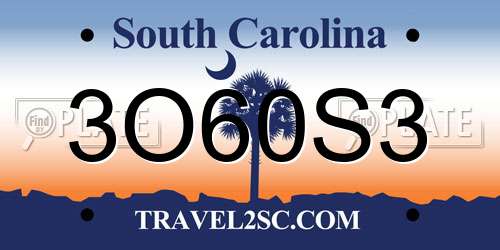 3O60S3 South Carolina License Plate