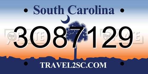 3O87129 South Carolina License Plate